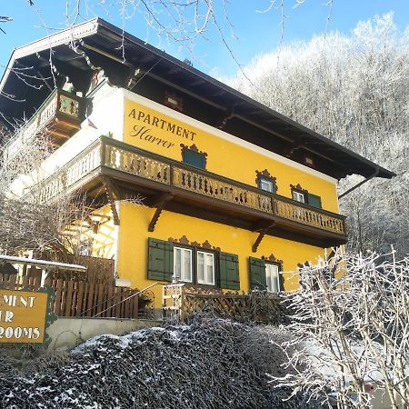 Appartement Harrer Zell am See Zewnętrze zdjęcie
