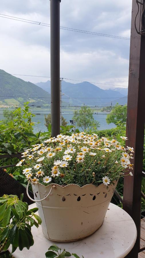 Appartement Harrer Zell am See Zewnętrze zdjęcie